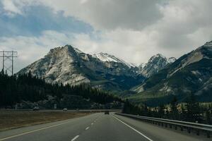 transcanadá autopista en banff nacional parque, demostración el fauna silvestre cruce paso superior foto