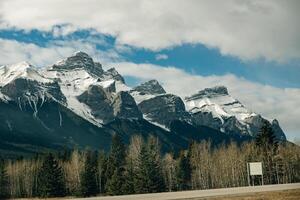 transcanadá autopista en banff nacional parque, demostración el fauna silvestre cruce paso superior foto