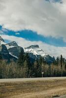 transcanadá autopista en banff nacional parque, demostración el fauna silvestre cruce paso superior foto