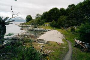 lago en bahia lapataia en medio de montañas a tierra del fuego foto