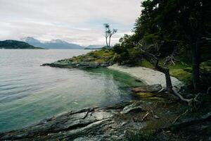 lago en bahia lapataia en medio de montañas a tierra del fuego foto