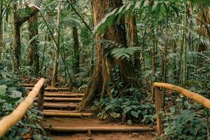 arqueológico parque takalik abaj en retalhuleu, maya y olmeca, Guatemala - feb 2023 foto