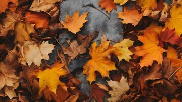 otoño antecedentes con un lote de vistoso caído hojas ocupando todas el espacio foto