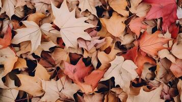 Autumn background with a lot of colorful fallen leaves occupying all the space photo