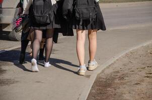 alto colegio estudiantes caminando hogar en un bonito calentar primavera día. alto calidad foto