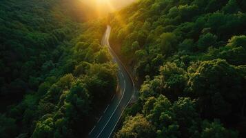 aéreo parte superior vista, montaña la carretera en oscuro verde bosque con luz de sol puesta de sol foto