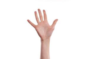 High Five or palm of female hand photo