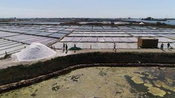 Famous Salines of Aveiro Portugal Aerial View video