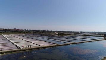 Famous Salines of Aveiro Portugal Aerial View video