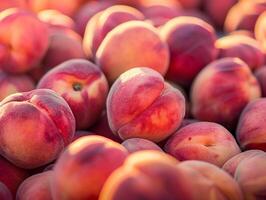 Ripe peaches and nectarines. Aesthetic photo, close-up photo
