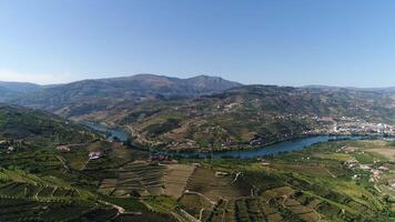 Douro berühmt Berge Weinberge Portugal video