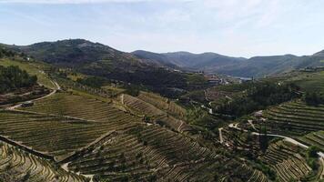 Douro Famous Mountains Vineyards Portugal video