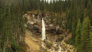 Aerial View of the beautiful Laughing falls video