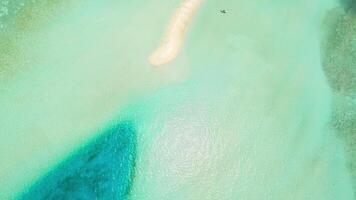 Flying over a sandy beach in the Maldives video