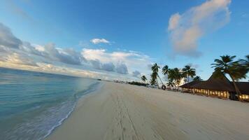 mouche une drone plus de une plage dans le Maldives. océan et paume des arbres. video