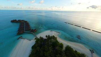 lusso acqua case nel il Maldive video