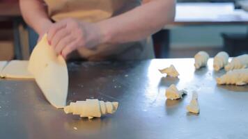 Women's hands twist the dough for making croissants in a bakery. Close-up of making croissants. Production of bakery products video