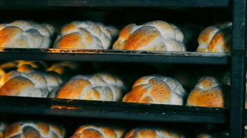 horneando trenzado un pan en el horno. un pan panadería. el un pan gira en un giratorio horno. video