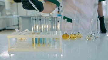 A laboratory technician drips a chemical solution into a test tube. A close-up of adding a drop of a chemical reagent to a test tube with a dispenser video