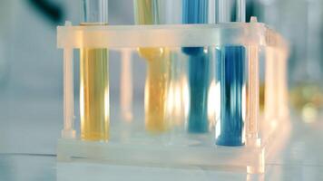 Test tubes with blue and yellow substance in the laboratory. Work in the laboratory. A laboratory technician puts test tubes in a tripod, close-up video