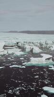 stor glaciär på Antarktis kust en solig sommareftermiddag video
