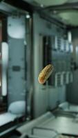 pepino en escabeche marinado flotando en la estación espacial internacional video