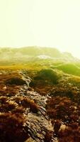 ein szenisch Landschaft mit Berge im das Hintergrund und ein üppig grasig Bereich video