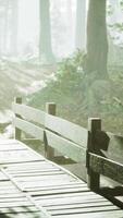 Alte Holzbrücke über einen kleinen Bach in einem Park video