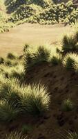 Red Rock Canyon National Park video