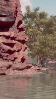 weerspiegeling van Grand Canyon in Colorado River video