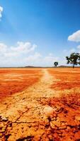 sol fissuré terre sèche pendant la saison sèche video