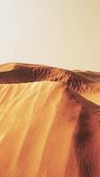 Empty Quarter Desert Dunes at Liwa video