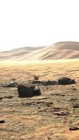 Sand dunes at sunset in Sahara Desert in Morocco video