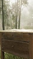 A rustic wooden table surrounded by the serene beauty of a dense forest video