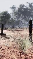 Fragment of an old fence with rusty barbed wire video