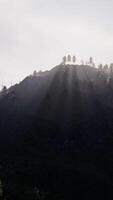 montanhas tatras cobertas por florestas de pinheiros verdes video