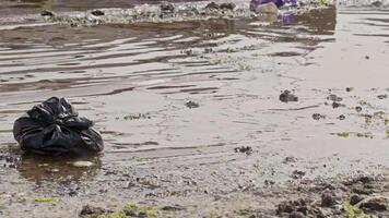 plastica bottiglie e spazzatura ovunque nel il marino filmato. video