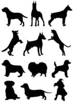 Dog puppy pets silhouette collection vector