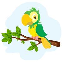 Parrot parakeet on branch cartoon illustration vector