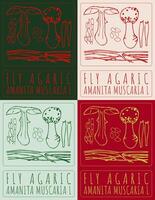 Set of drawing FLY AGARIC in various colors. Hand drawn illustration. The Latin name is AMANITA MUSCARIA L. vector