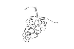 Continuous one line drawing healthy sweet organic grapes for vineyard logo identity. Fresh tropical fruitage concept for fruit orchard garden icon. Single line draw design graphic illustration vector