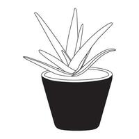 Aloe vera icon vector