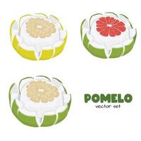 Pomelo . Grapefruit. Shaddock fruit with green rind. Flat in cartoon style isolated on white background. vector