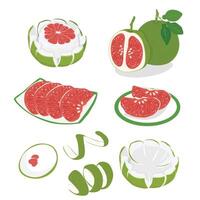 Pomelo . Grapefruit. Shaddock fruit with green rind. Flat in cartoon style isolated on white background. vector