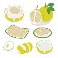 Pomelo . Grapefruit. Shaddock fruit with yellow rind. Flat in cartoon style isolated on white background. vector