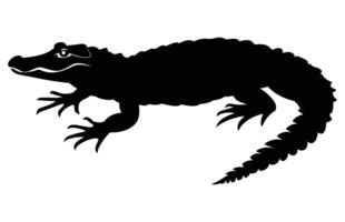 caimán negro silueta en blanco fondo, cocodrilo ilustración. salvaje animales reptil. vector
