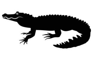 caimán negro silueta en blanco fondo, cocodrilo ilustración. salvaje animales reptil. vector
