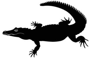 caimán negro silueta en blanco fondo, cocodrilo ilustración. salvaje animales reptil. vector