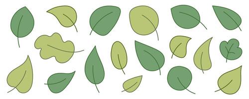 Various Green Leaves Simple Illustration vector