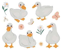 Collection of cute ducks. Pretty white gooses set. Contemporary illustration isolated on white background. vector